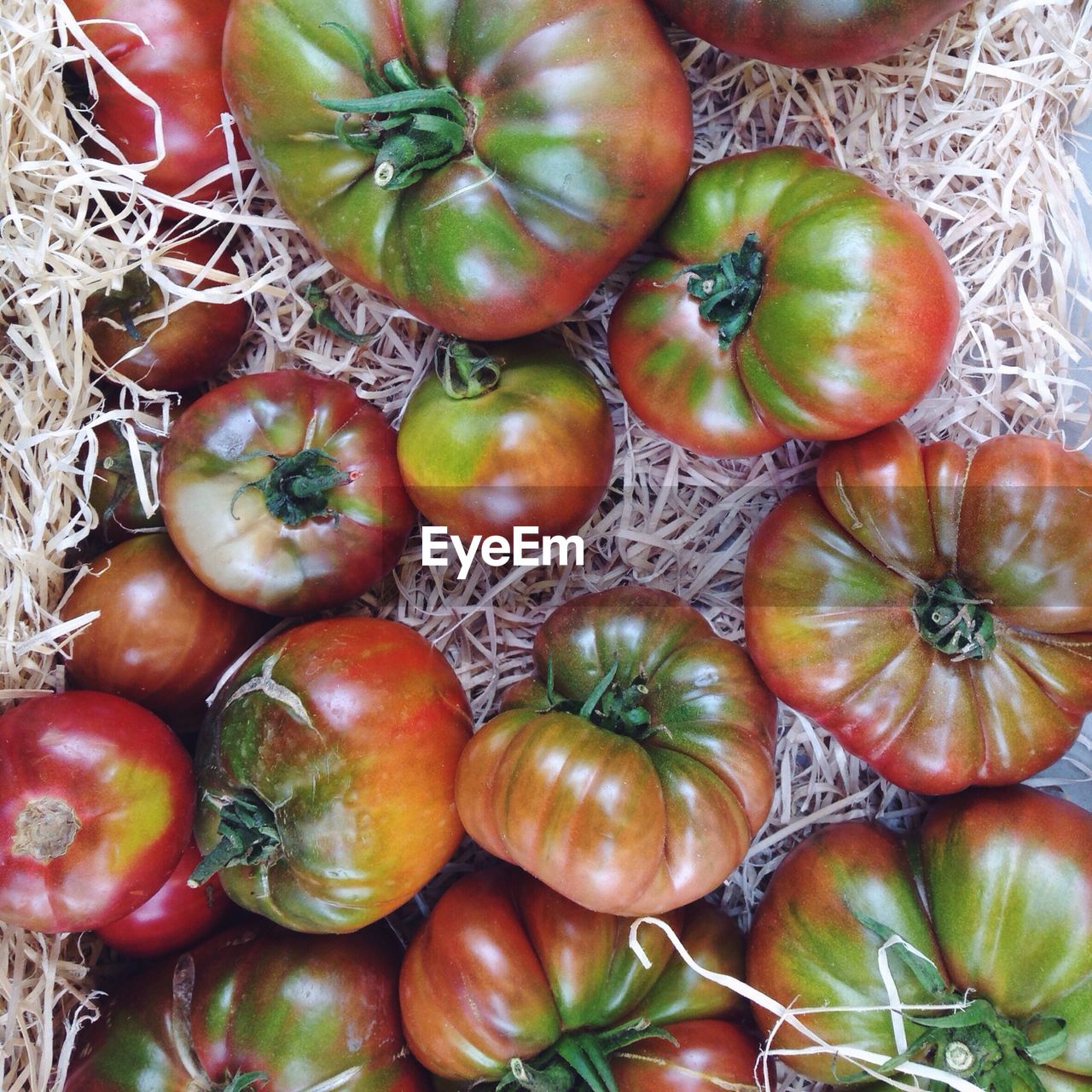 High angle view of heriloom tomatoes on hay