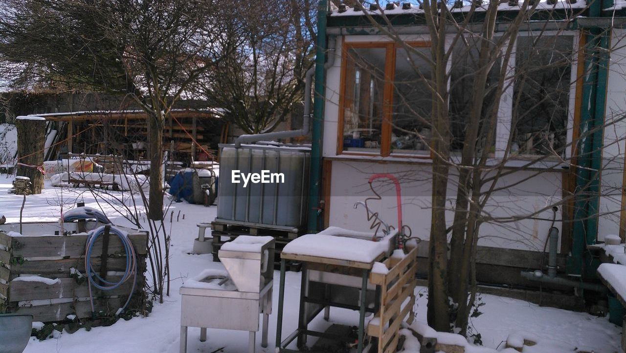 SNOW COVERED PLANTS BY BUILDING