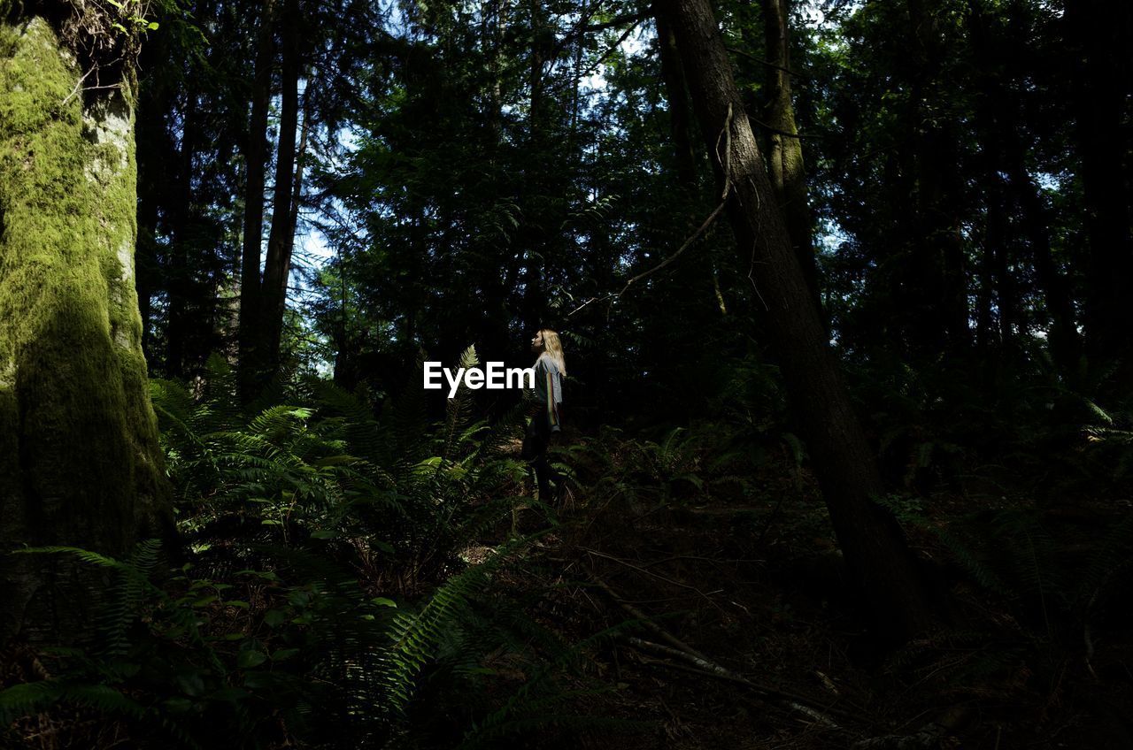 Woman standing by trees in forest