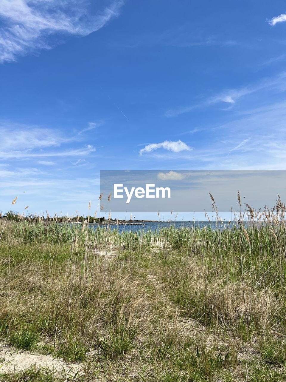 sky, grass, land, natural environment, nature, plant, horizon, environment, landscape, cloud, coast, sea, shore, blue, water, scenics - nature, beauty in nature, wetland, tranquility, no people, marsh, prairie, beach, tranquil scene, day, grassland, outdoors, field, growth, non-urban scene, marram grass, sand, travel, rural area, horizon over water, wind