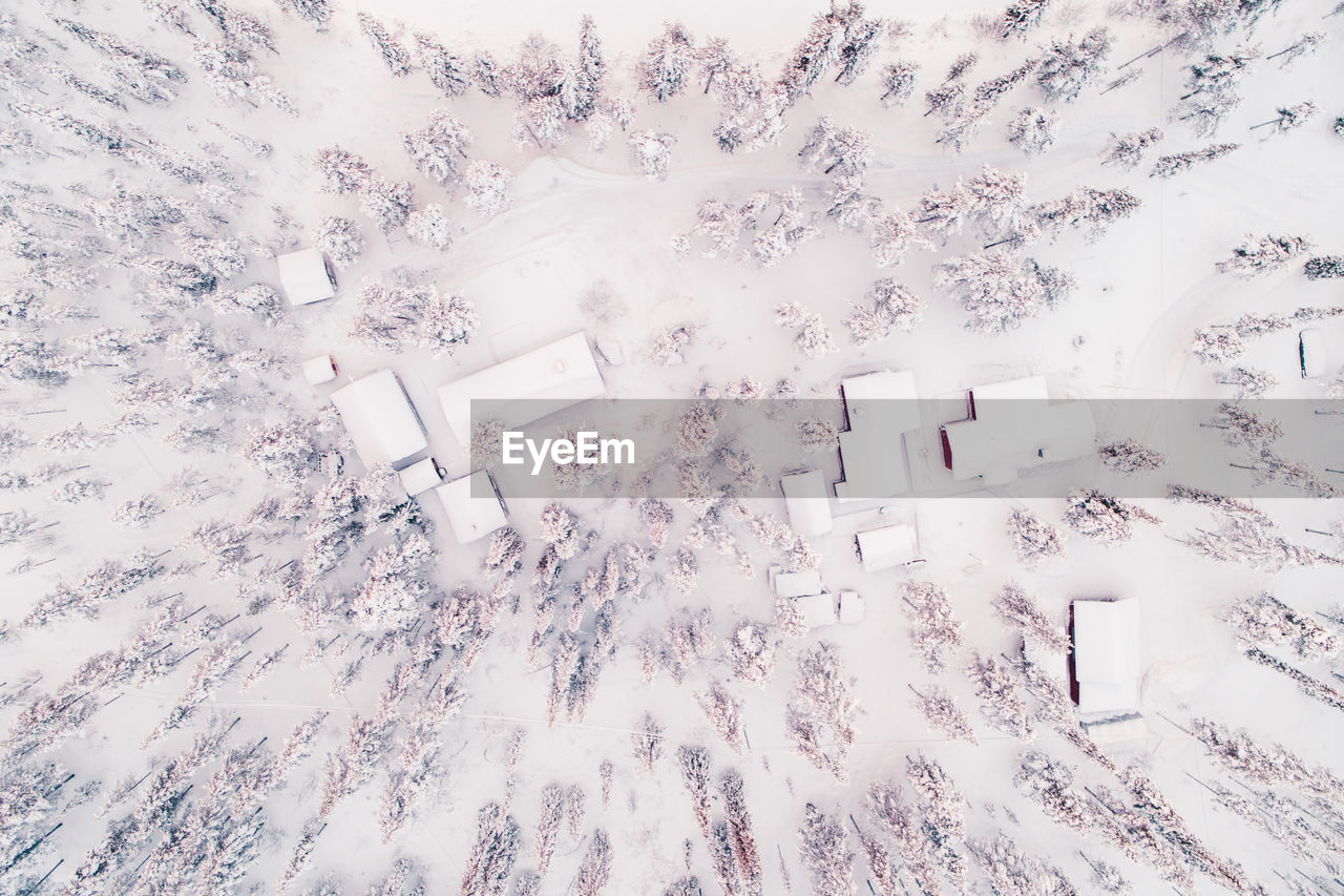 Aerial view of trees and houses on snowcapped field during winter