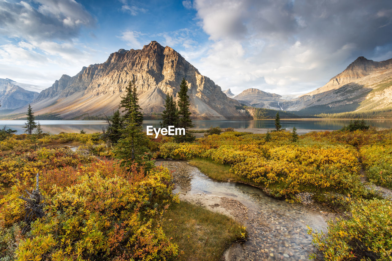 Autumn sunrise at bow lake in the canadian rockies.