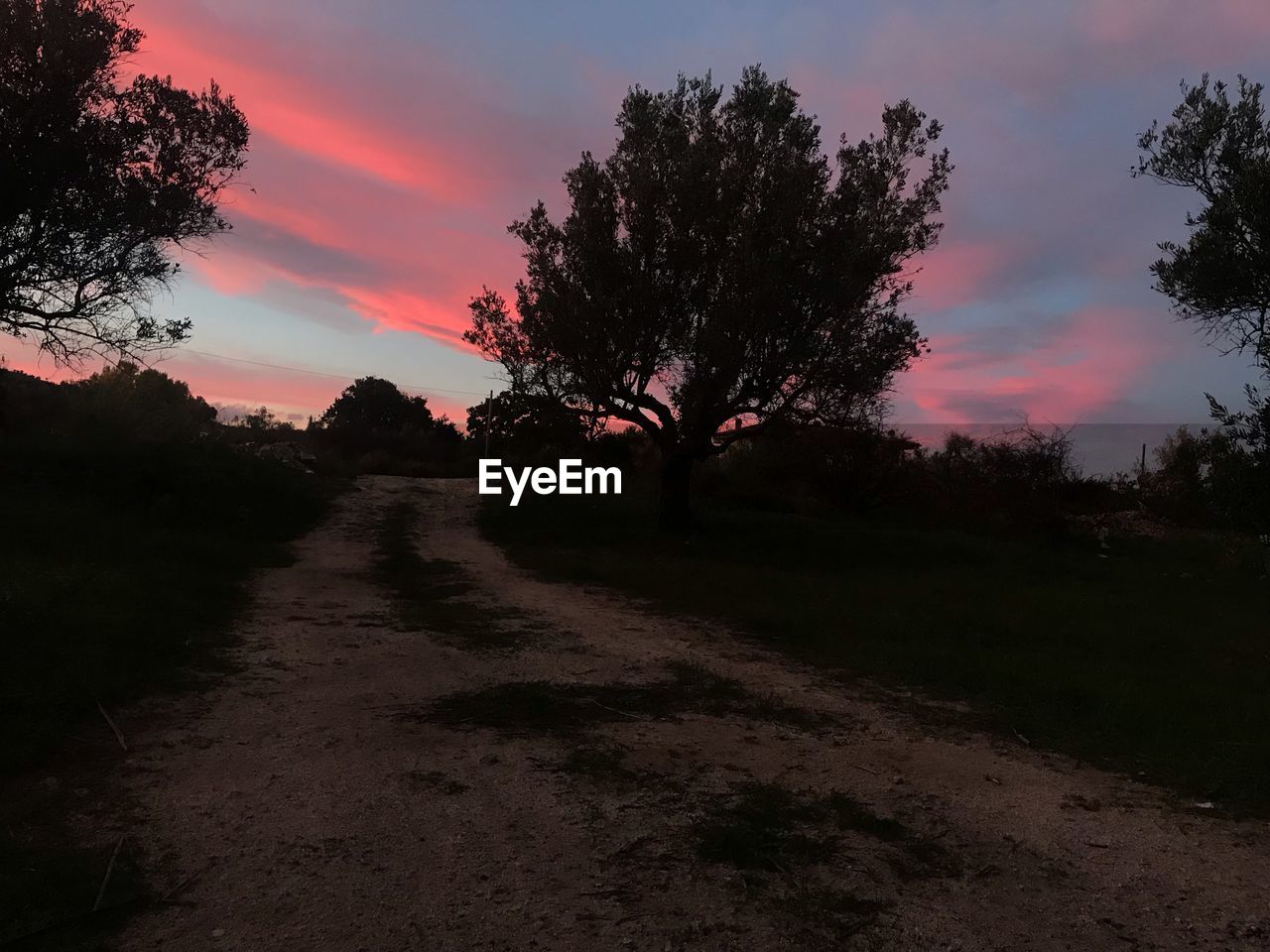 SILHOUETTE TREES AGAINST SKY DURING SUNSET
