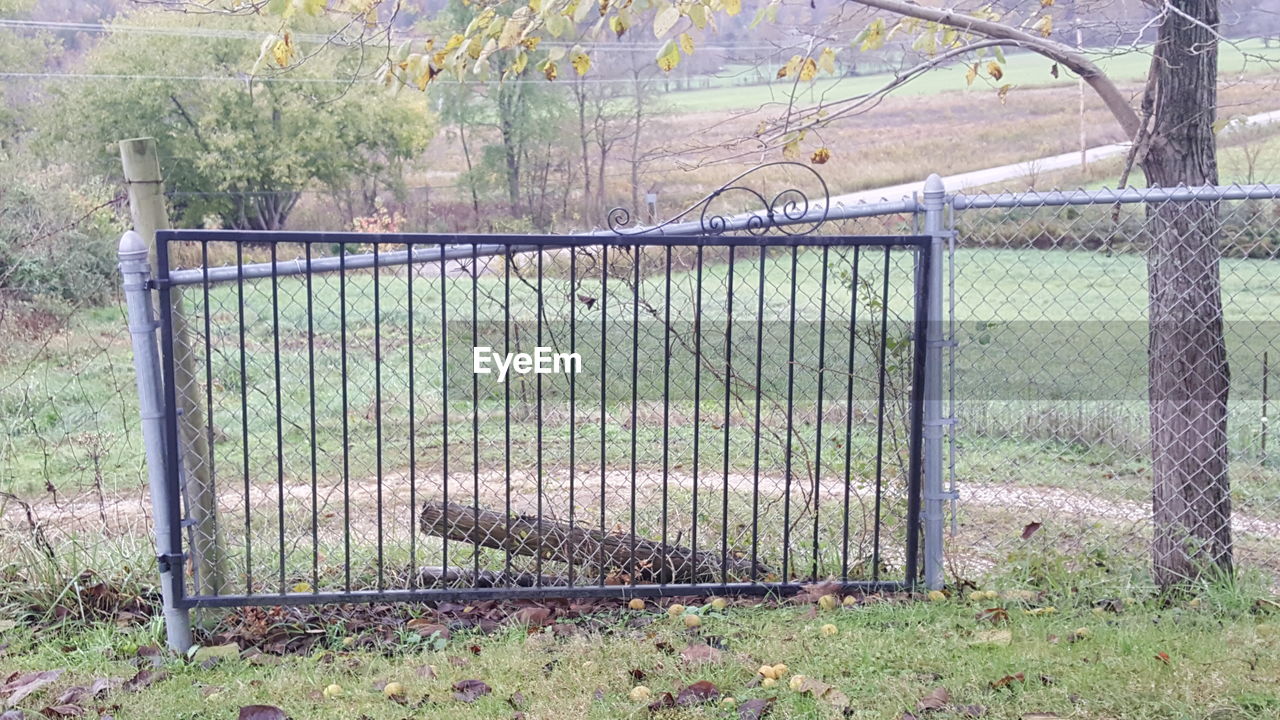 METAL GATE IN PARK