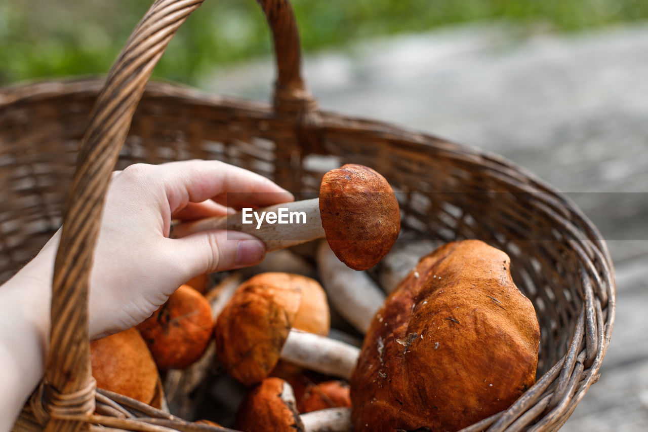 Wicker basket full of boletus mushrooms