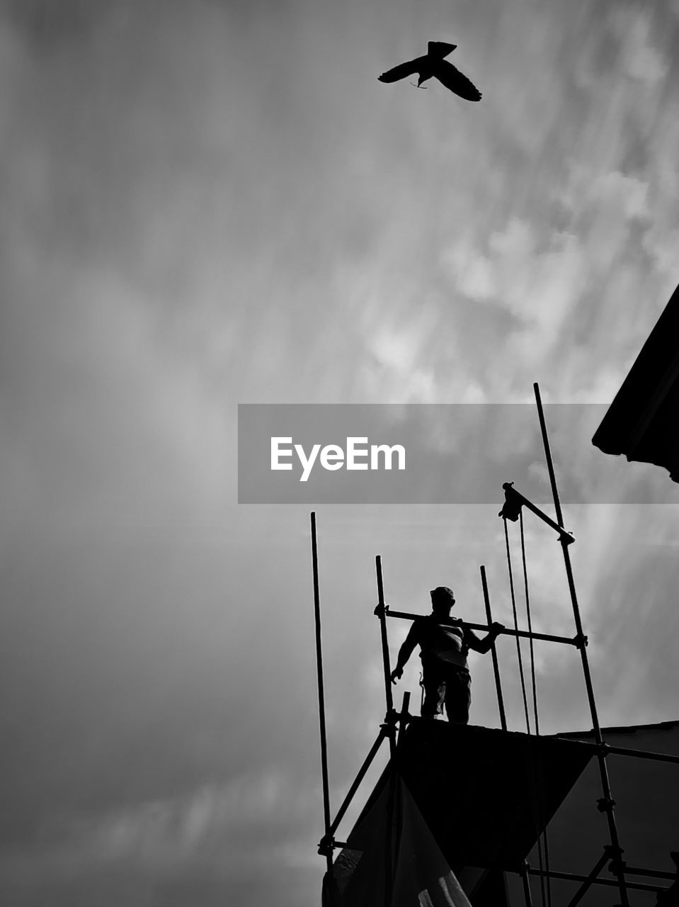 sky, cloud, monochrome, silhouette, black and white, bird, flying, black, monochrome photography, nature, animal themes, low angle view, animal, architecture, men, animal wildlife, darkness, occupation, one animal, wildlife, outdoors, white, wind, built structure, day, one person