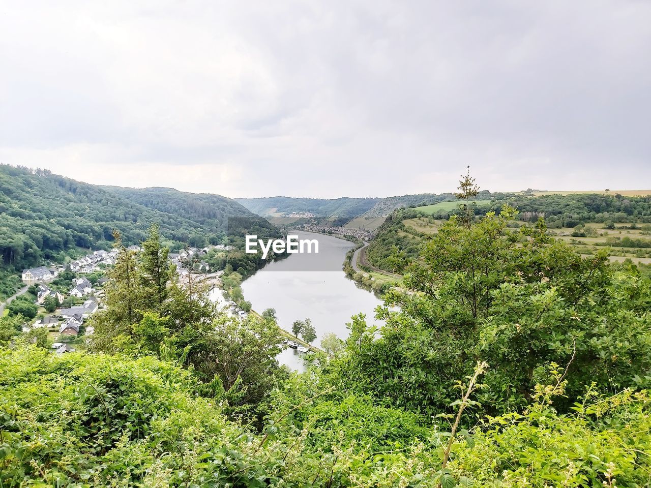 SCENIC VIEW OF TREES AND LANDSCAPE AGAINST SKY