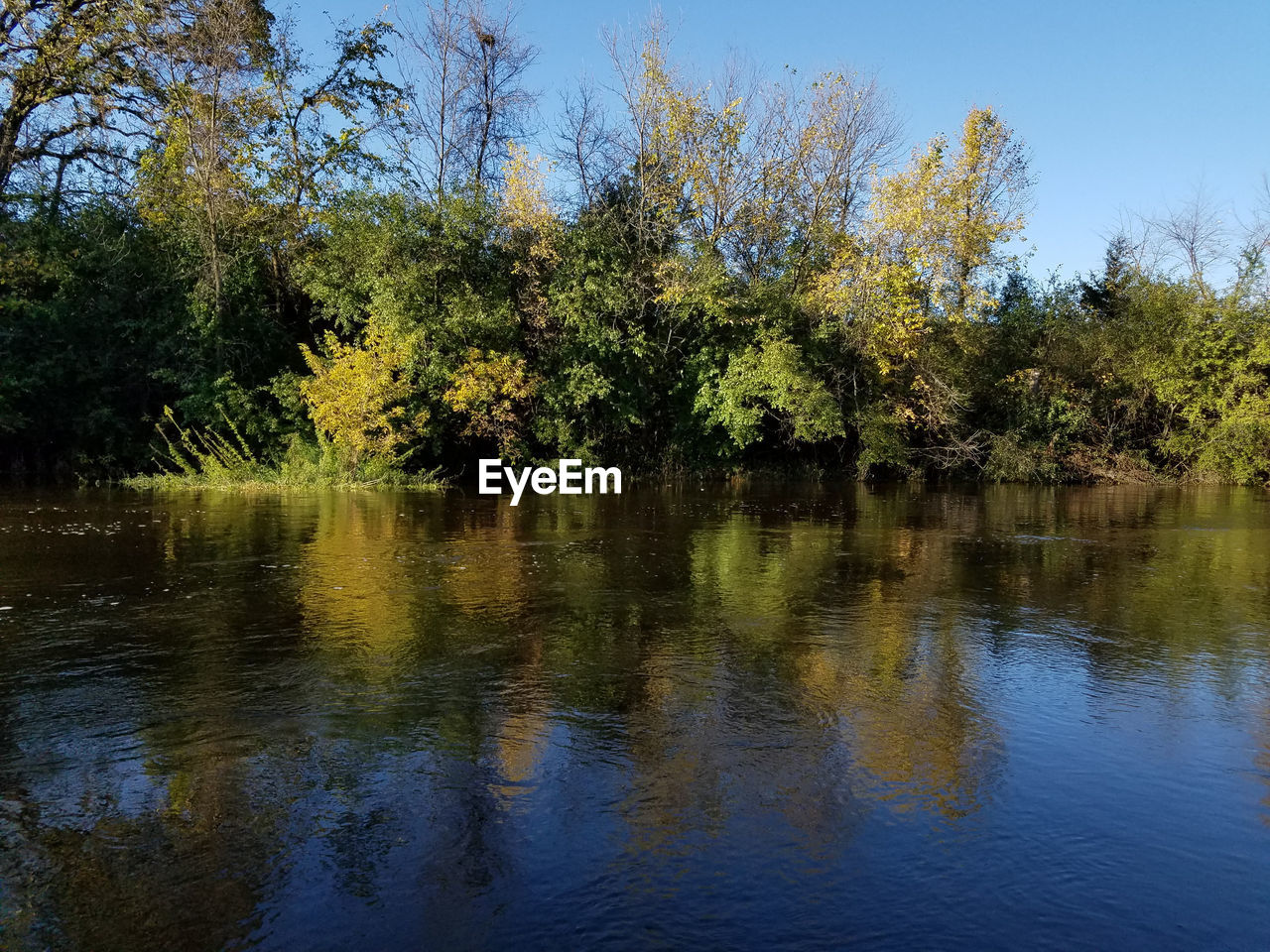 REFLECTION OF TREES IN LAKE AGAINST SKY