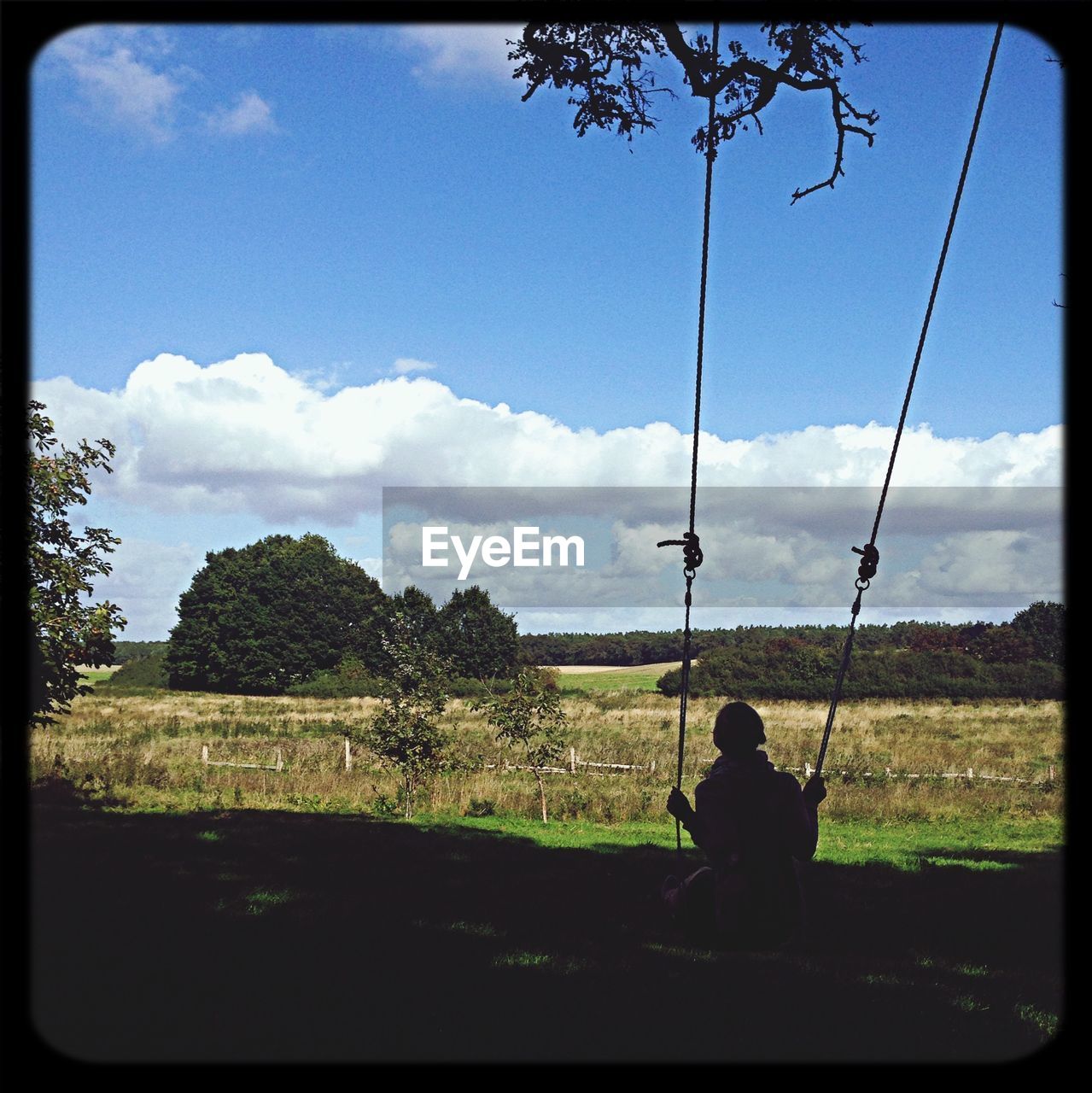 Rear view of woman sitting on swing at grassy field against sky