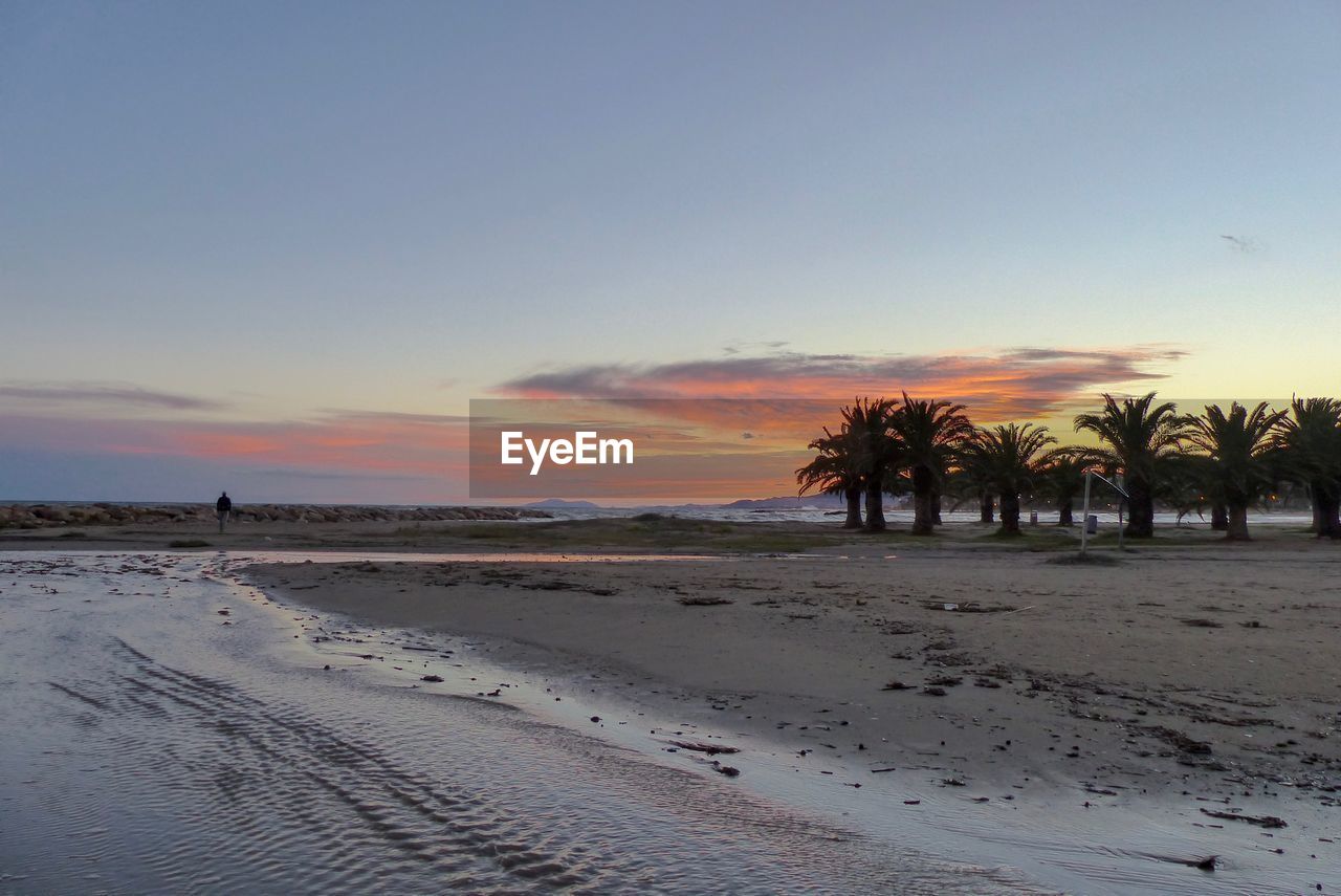 PALM TREES ON BEACH AGAINST SKY DURING SUNSET