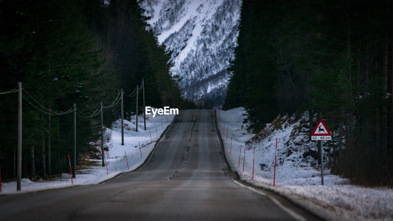 Road amidst trees in forest during winter