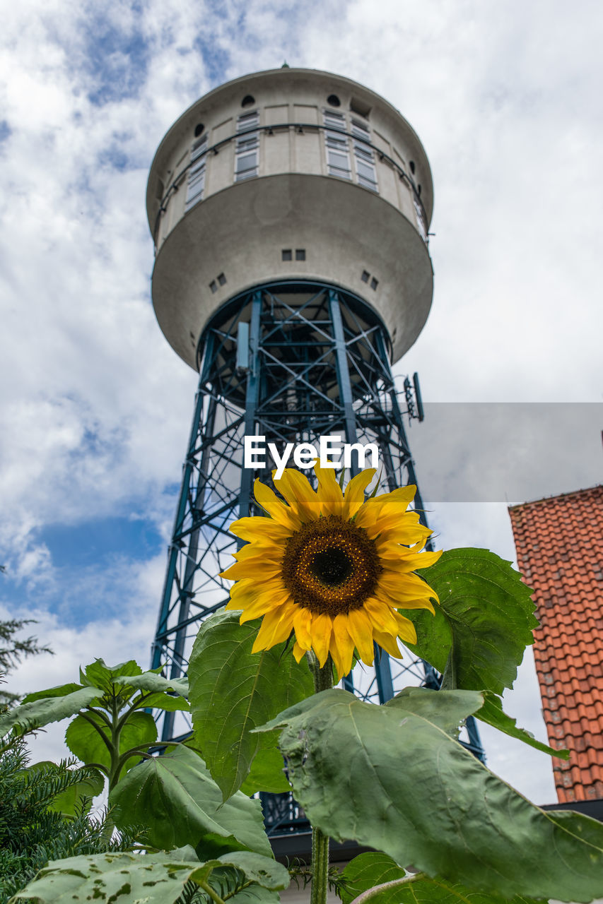 Low angle view of flowering plant against cloudy sky and a water tower