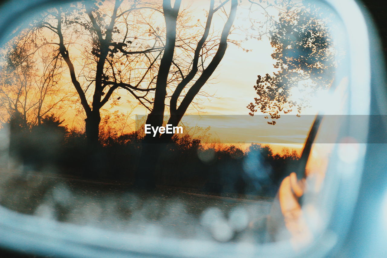 Reflection of trees on side-view mirror