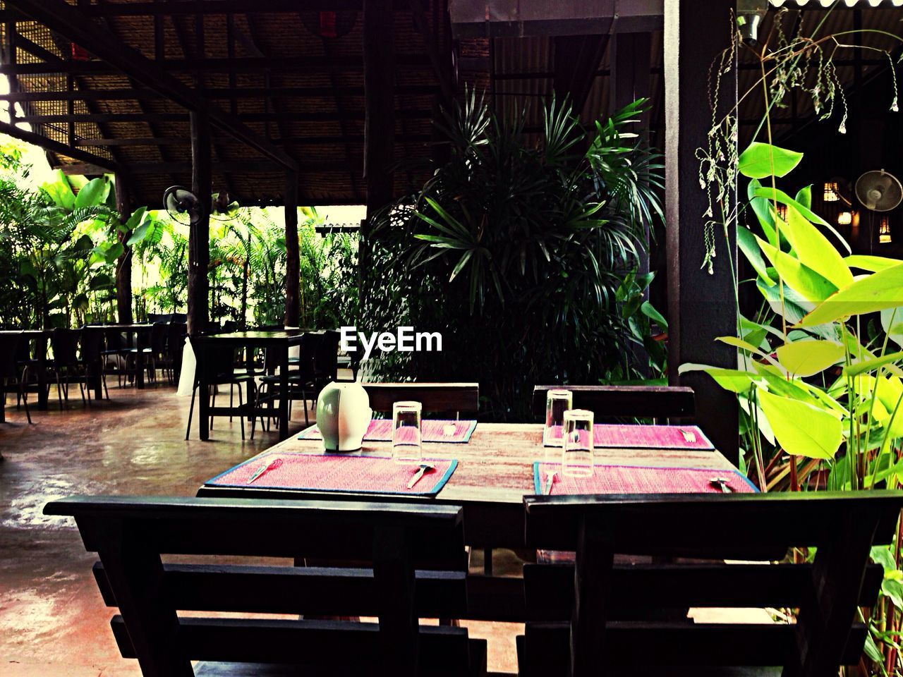 Chair and table in restaurant by plant