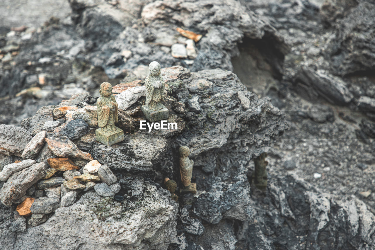 no people, nature, soil, day, textured, wildlife, rock, animal themes, animal wildlife, close-up, animal, outdoors, rough, high angle view, tree, land, reptile, leaf, geology, one animal, focus on foreground, plant