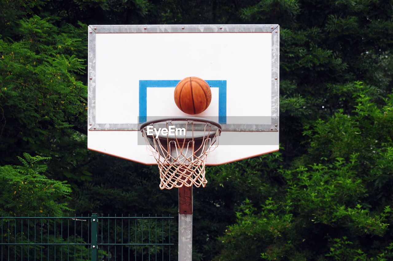 Close-up of basketball hoop against trees