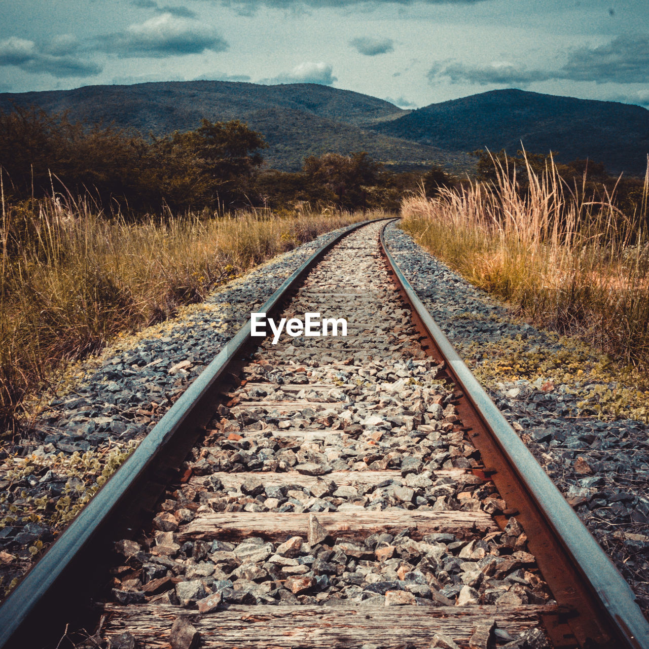 RAILROAD TRACK ALONG LANDSCAPE