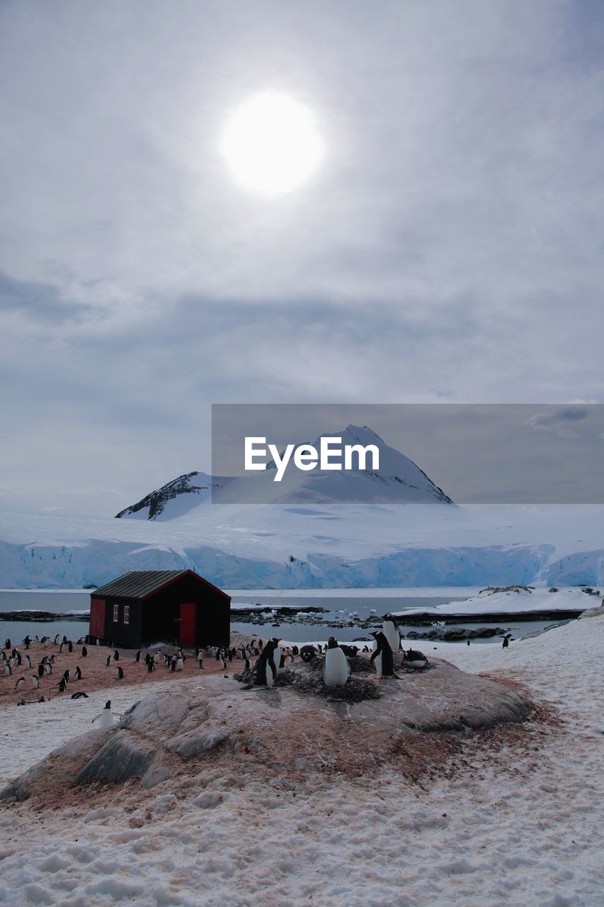 Penguins and snowcapped mountains against cloudy sky on sunny day