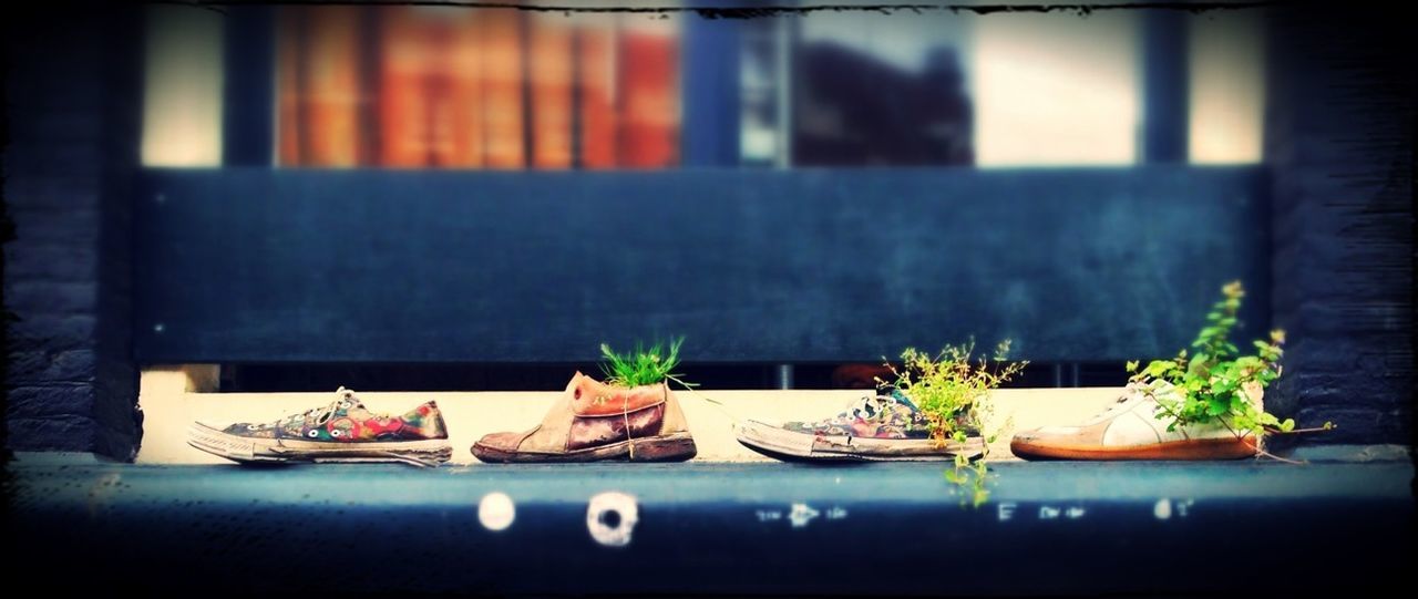 table, plate, no people, indoors, absence, selective focus, food and drink, food, flower, close-up, freshness, day, healthy eating, ready-to-eat