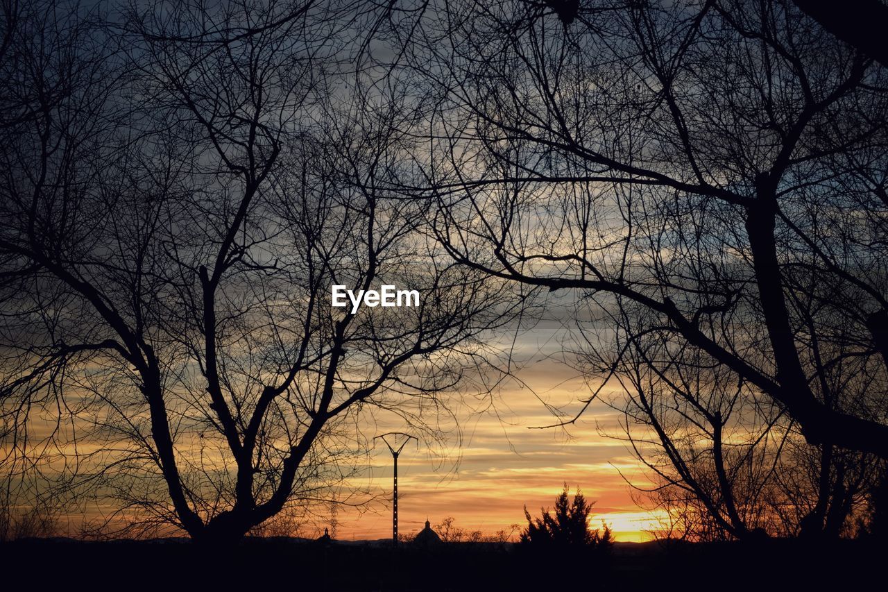 Silhouette bare trees against dramatic sky