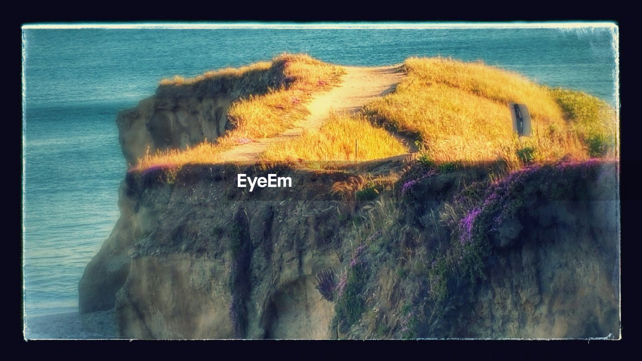 CLOSE-UP OF GRASS GROWING IN SEA