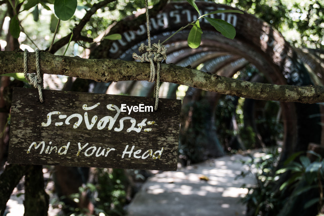 Close-up of warning sign hanging from branch in garden