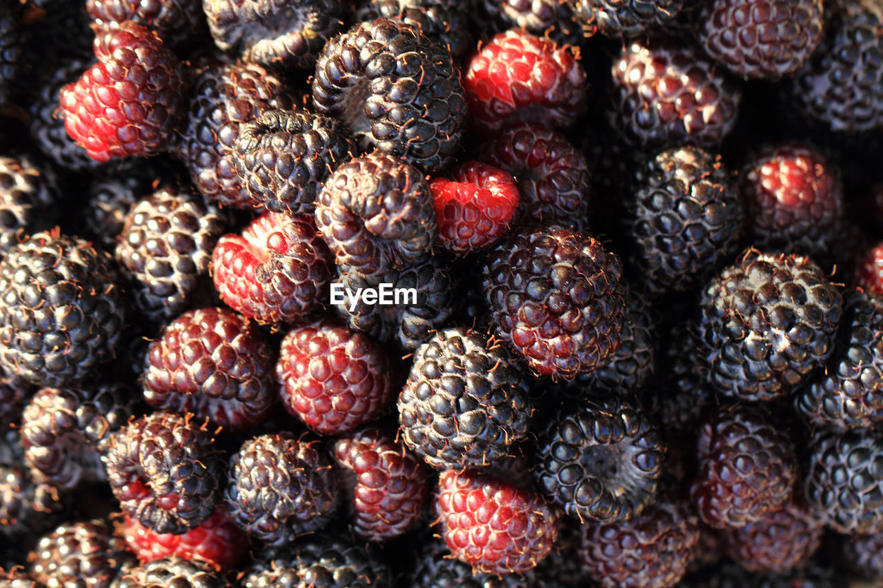 FULL FRAME SHOT OF FRESH STRAWBERRIES