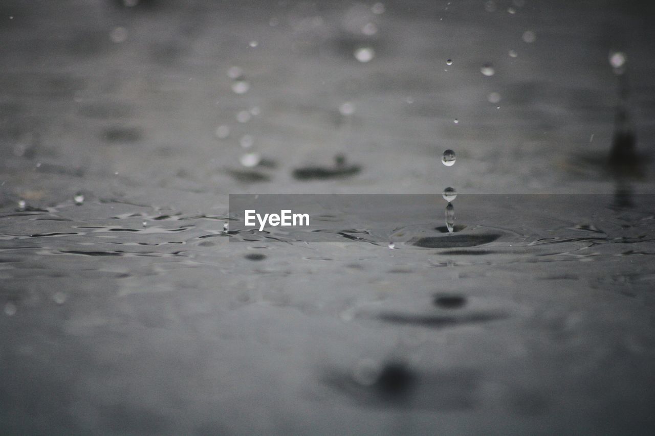 CLOSE-UP OF WATER DROPS ON SURFACE LEVEL OF RAIN