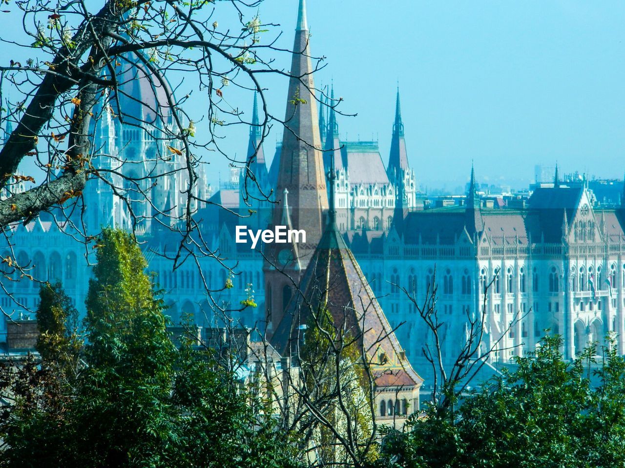 LOW ANGLE VIEW OF BUILDINGS IN CITY