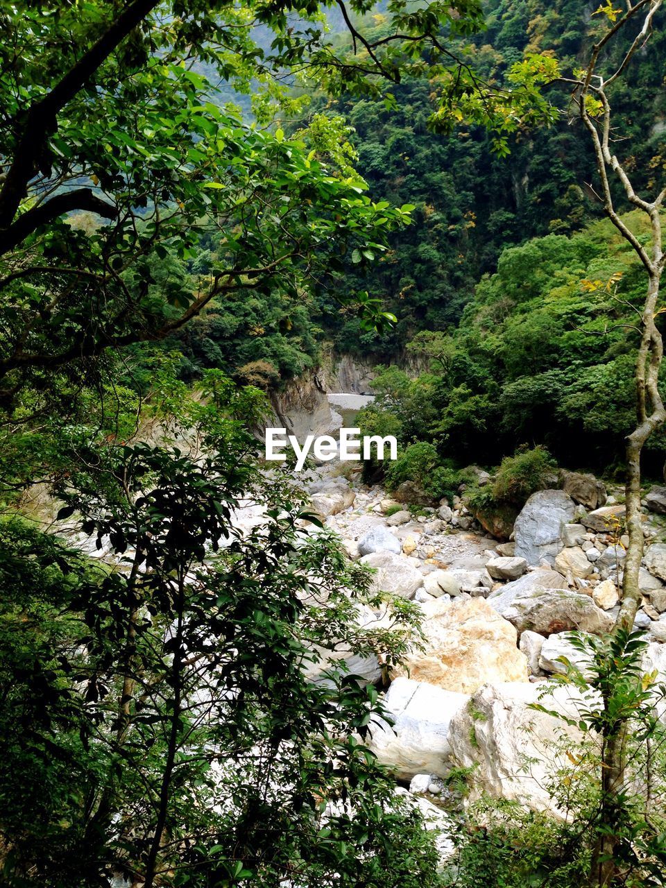 VIEW OF RIVER WITH TREES IN BACKGROUND