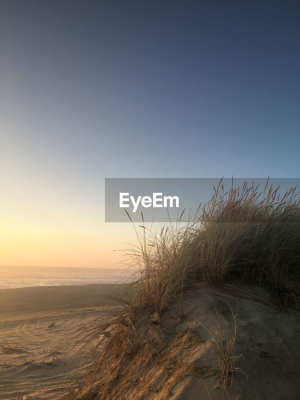 SCENIC VIEW OF SEA AGAINST CLEAR SKY AT SUNSET