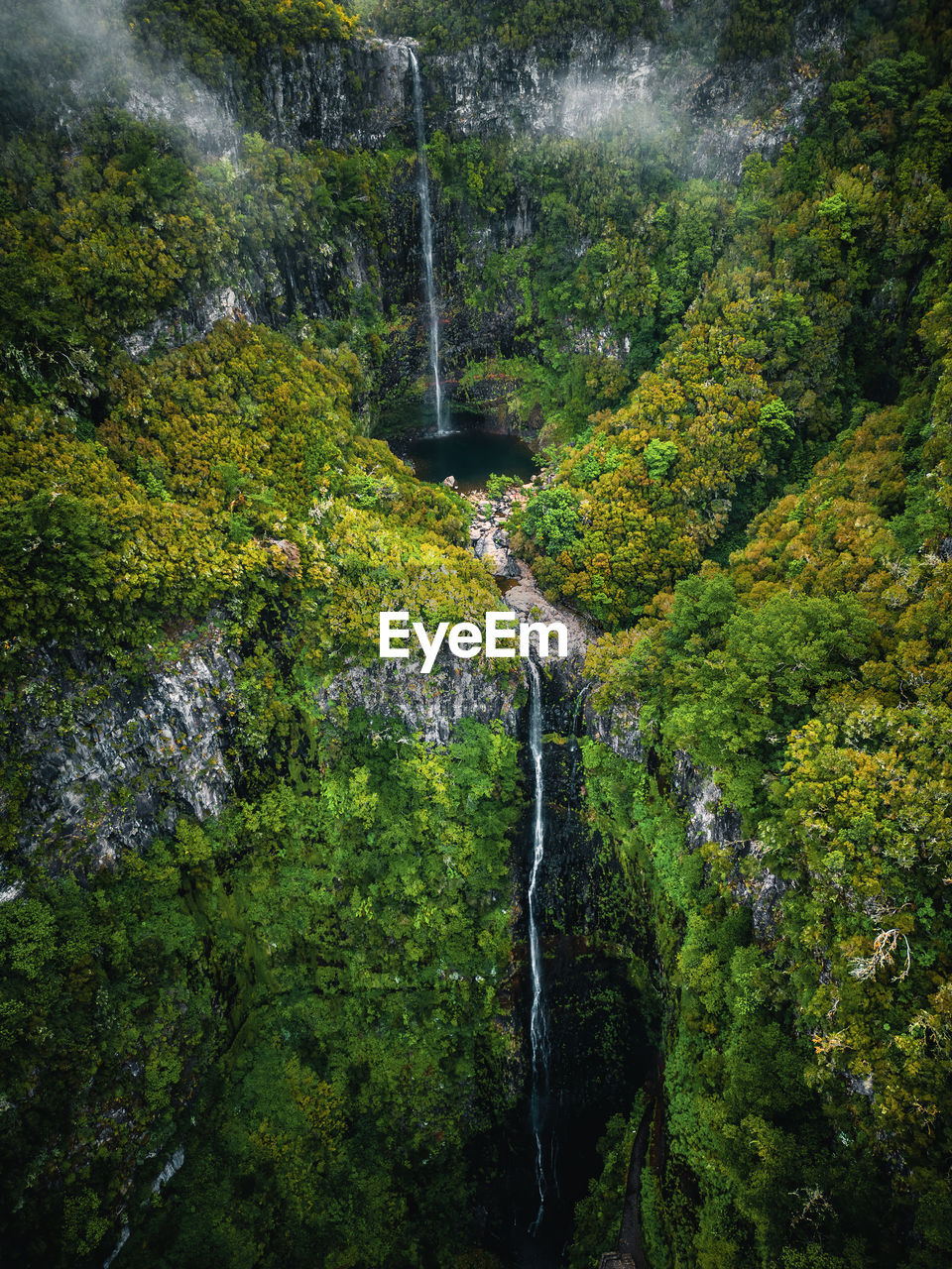 Aerial view of risco waterfalls in lush green forest, madeira, portugal