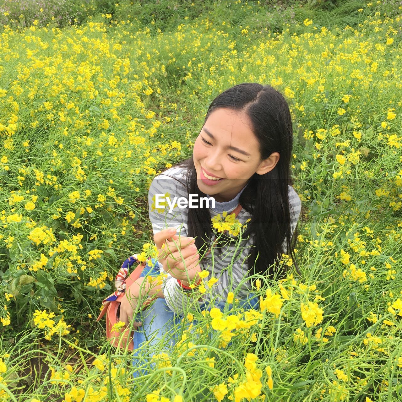BEAUTIFUL YOUNG WOMAN ON YELLOW FLOWER FIELD