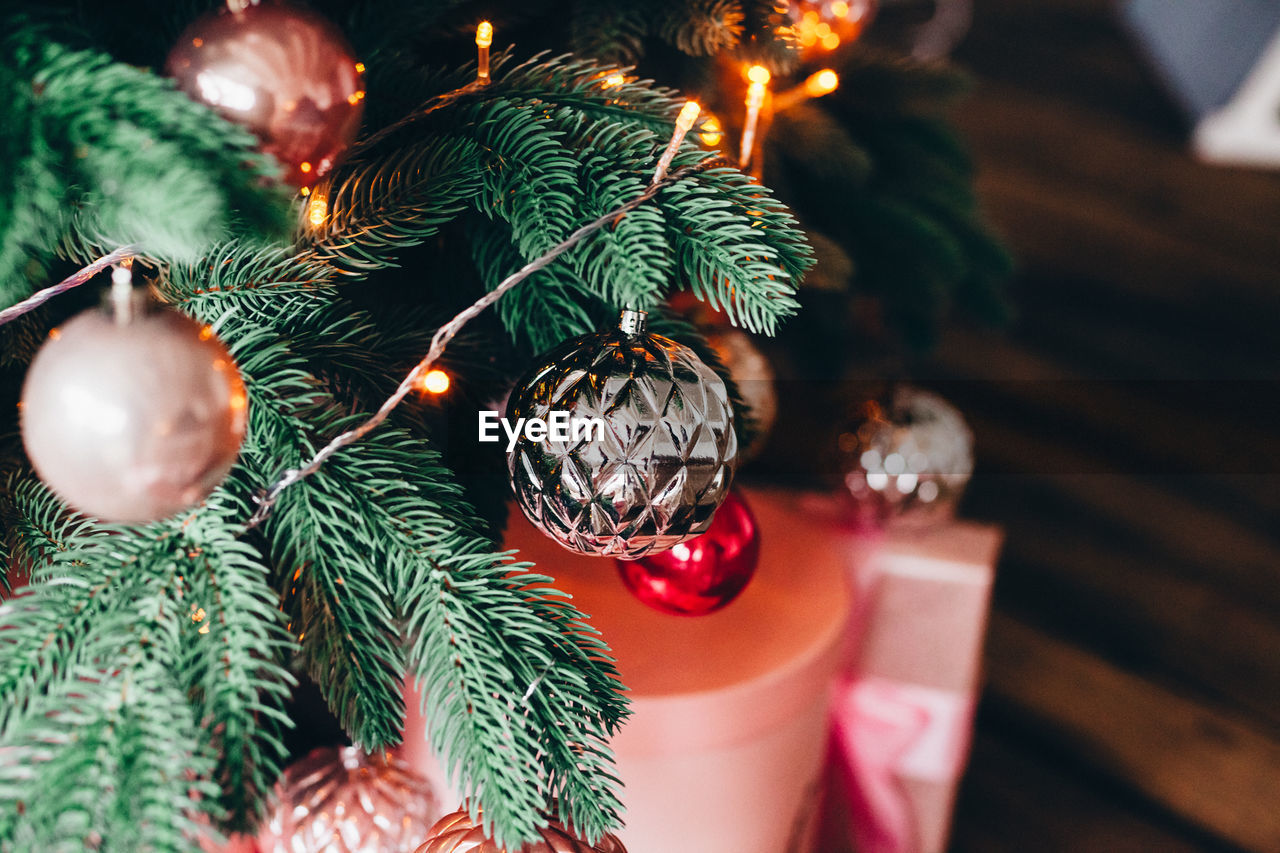 Close-up of christmas tree