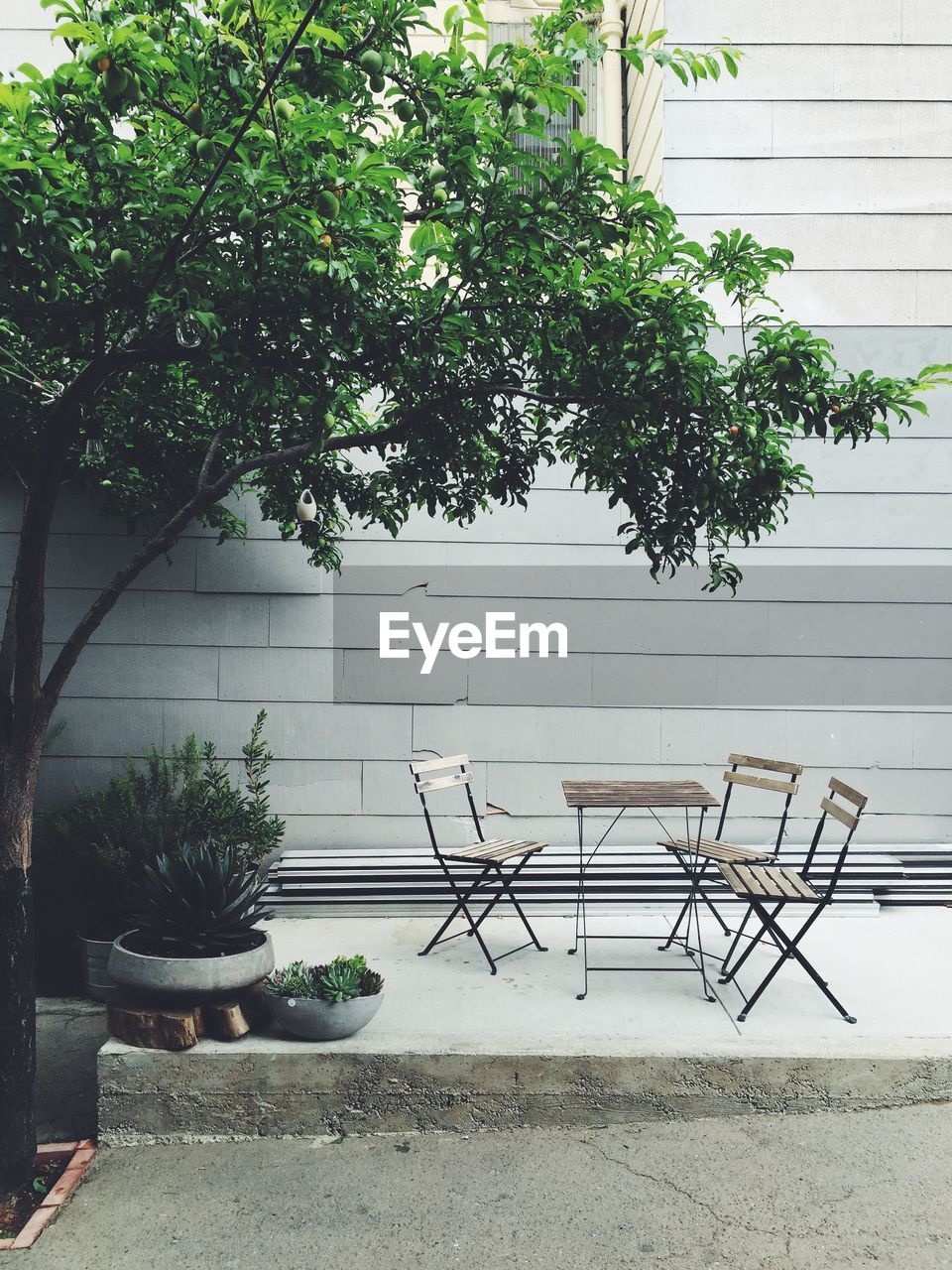 Table and chairs on back yard