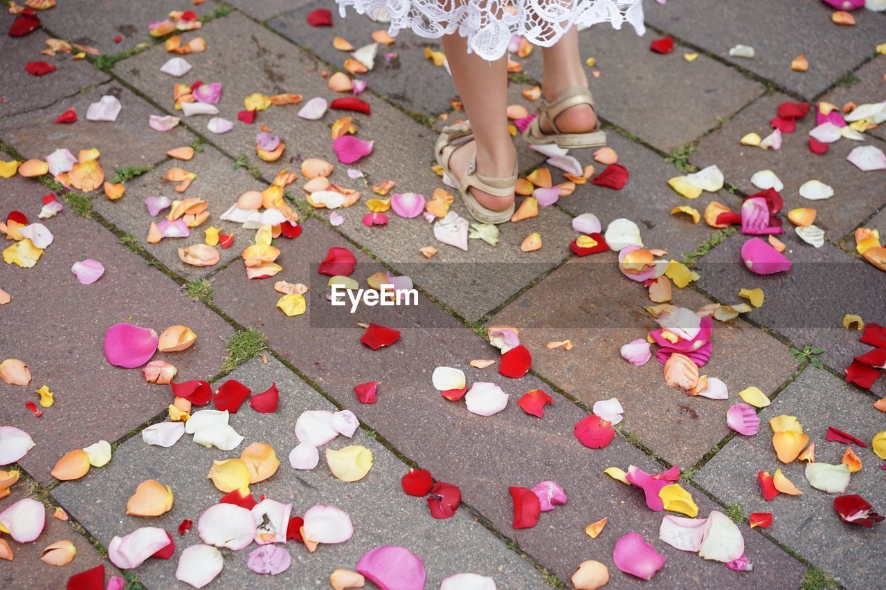 Low section of woman standing on footpath by petals during wedding