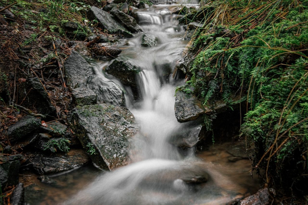 Stream flowing through rocks in forest