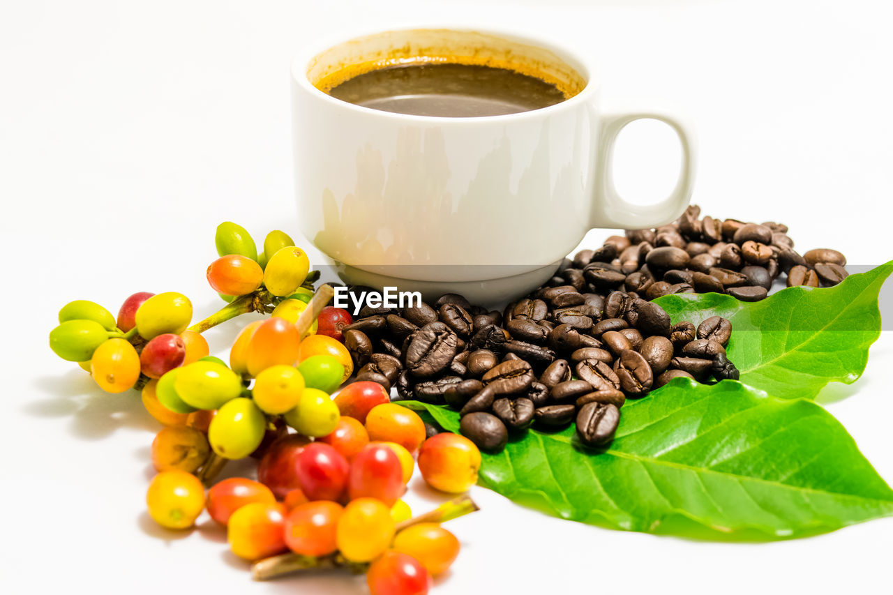CLOSE-UP OF COFFEE BEANS AND WHITE BACKGROUND
