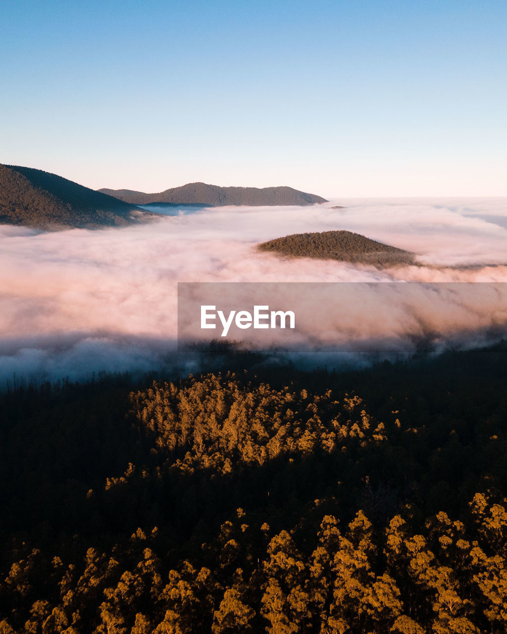 Aerial view of a sea of clouds covering a low lying forest