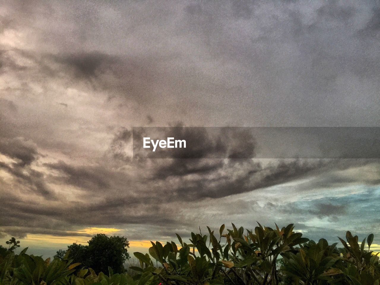 SCENIC VIEW OF CLOUDY SKY OVER SILHOUETTE TREES