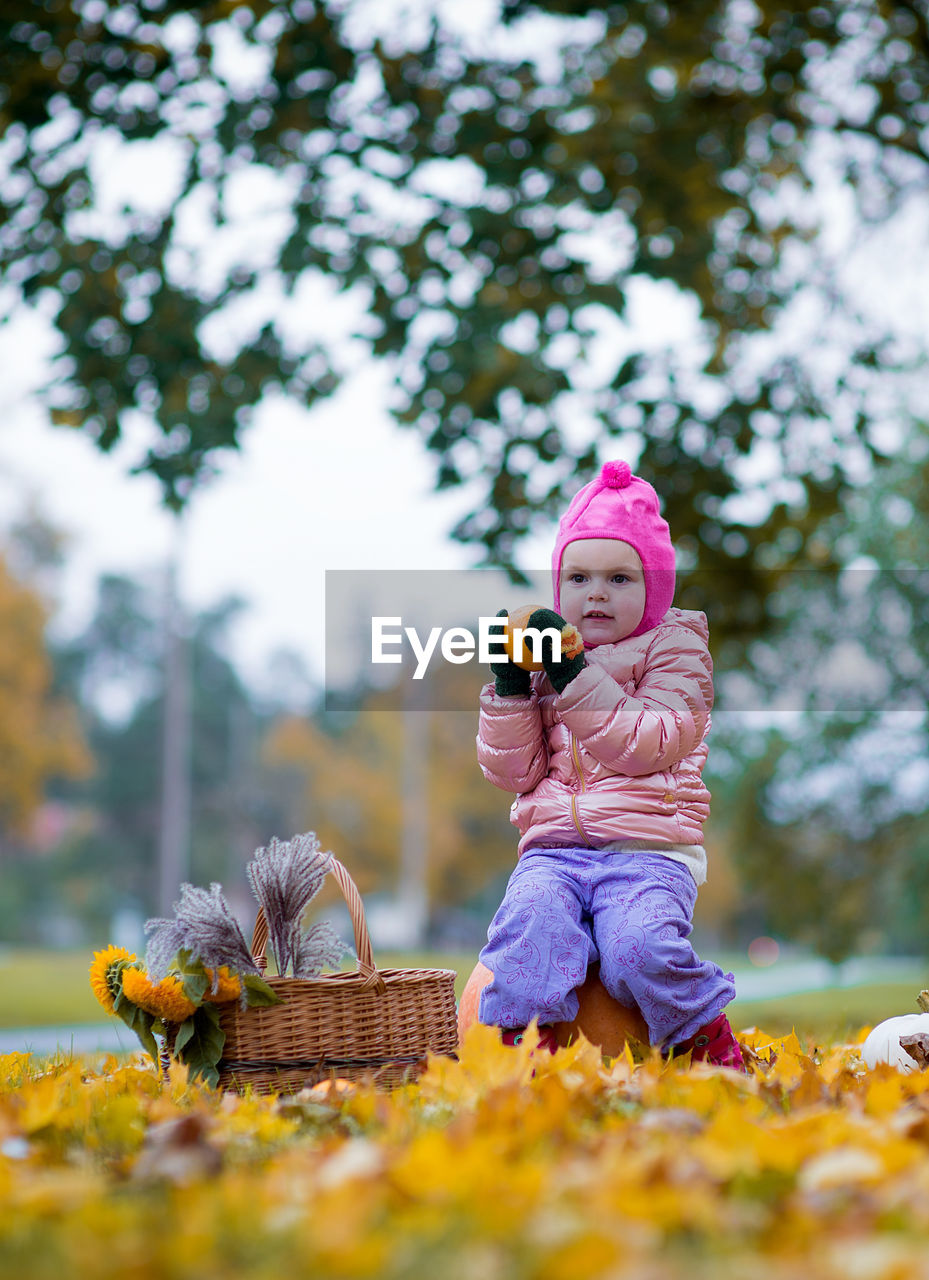 Cute girl looking away while sitting on pumpkin over autumn leaves against trees at public park