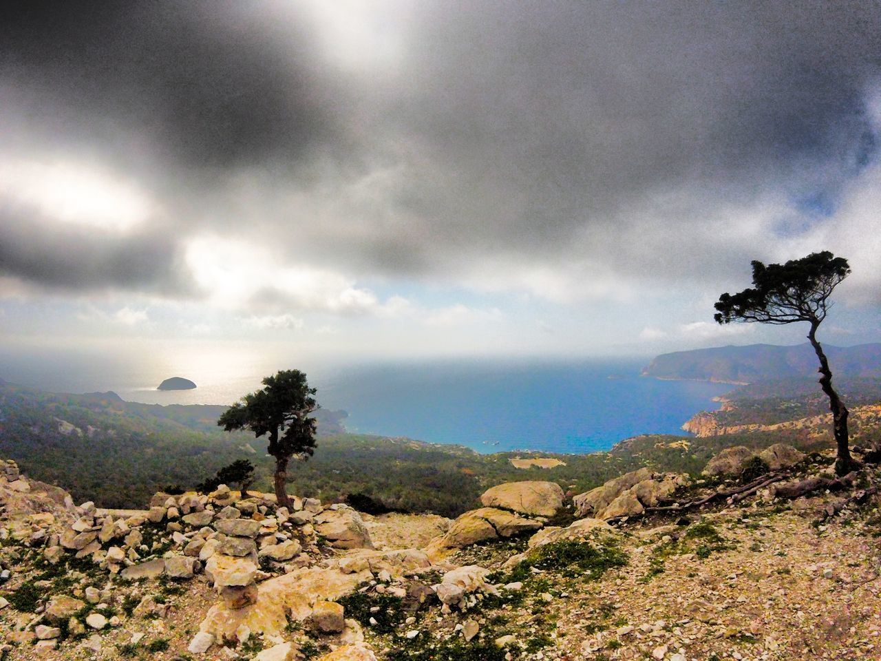 TREES ON LANDSCAPE AGAINST SKY