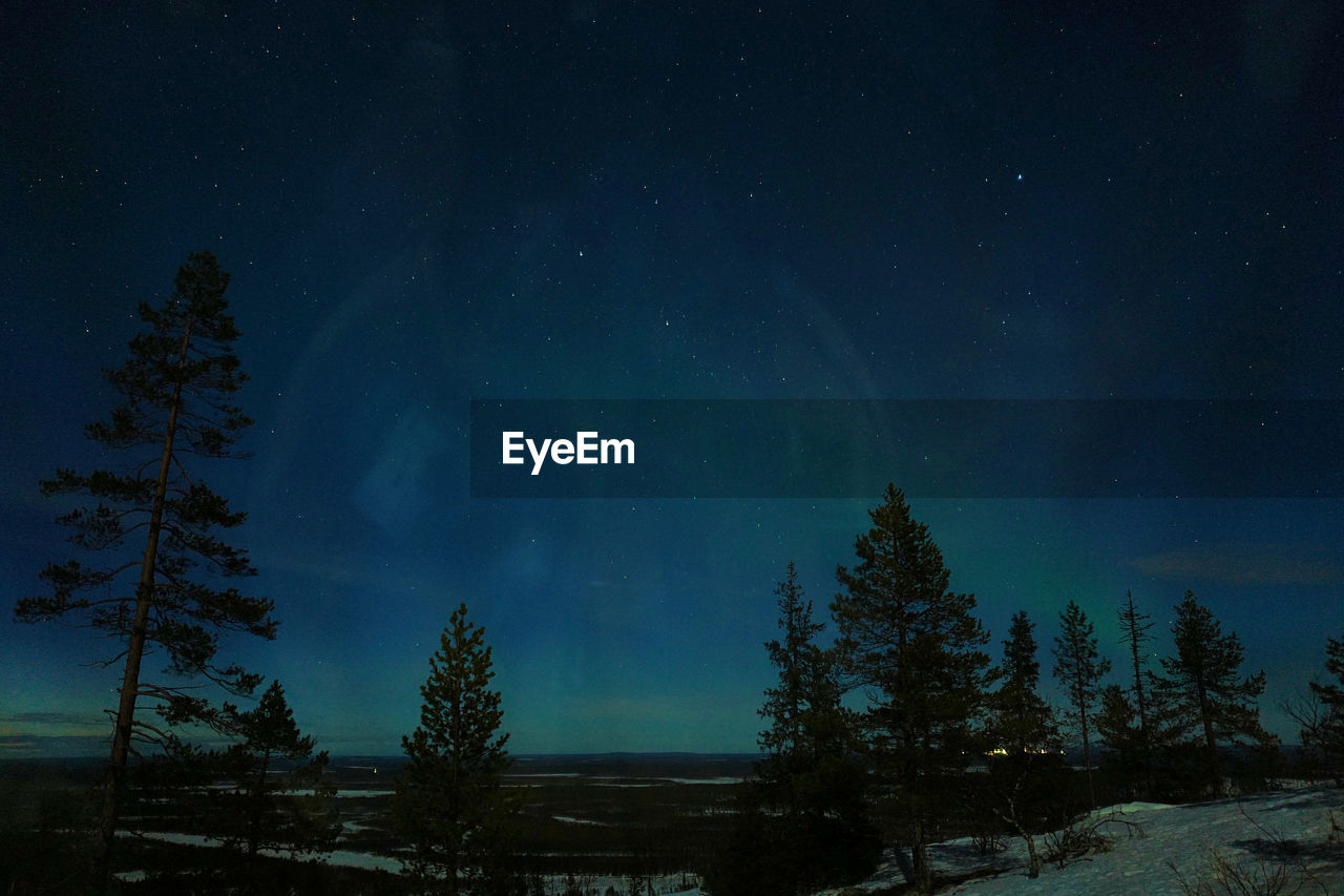 Low angle view of trees against blue sky at night