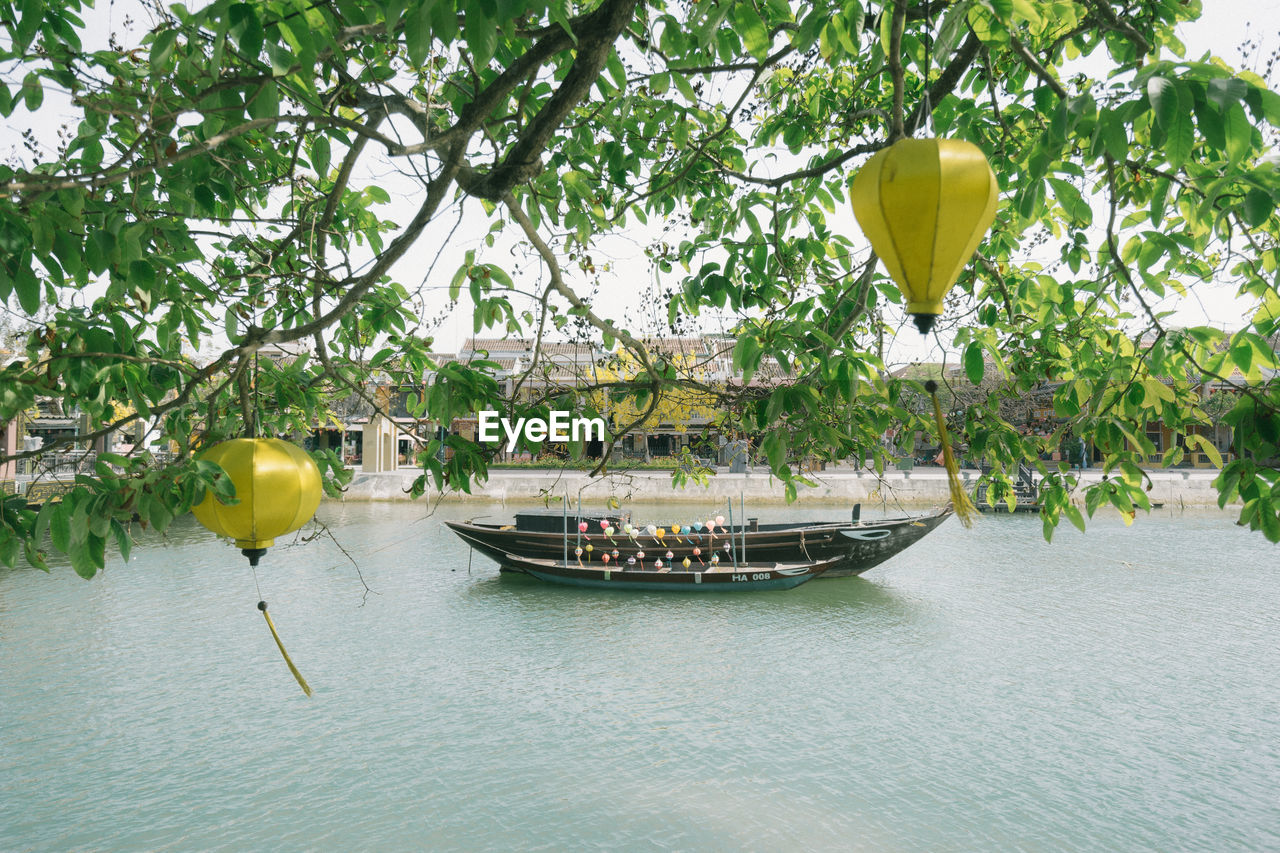 plant, tree, water, nautical vessel, vehicle, transportation, nature, flower, mode of transportation, day, boat, travel, no people, beauty in nature, growth, outdoors, river, tranquility, travel destinations, fruit, tourism, balloon, hanging, watercraft, leaf, architecture, yellow