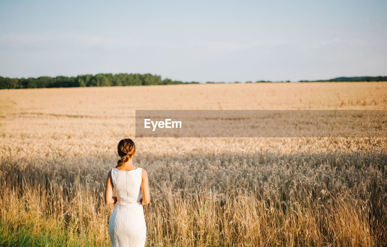 Rear view of bride standing on farm