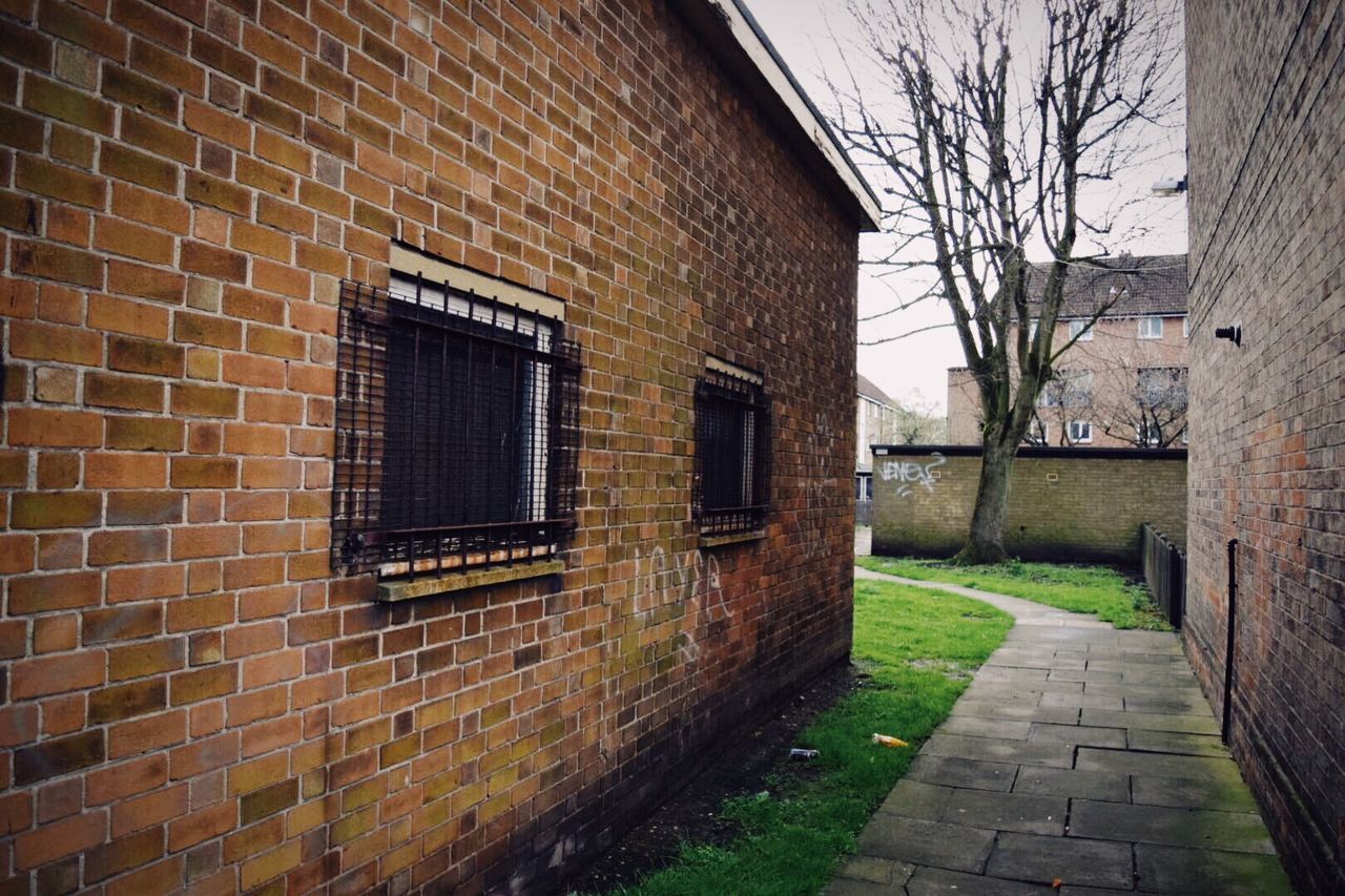 HOUSE BY TREE