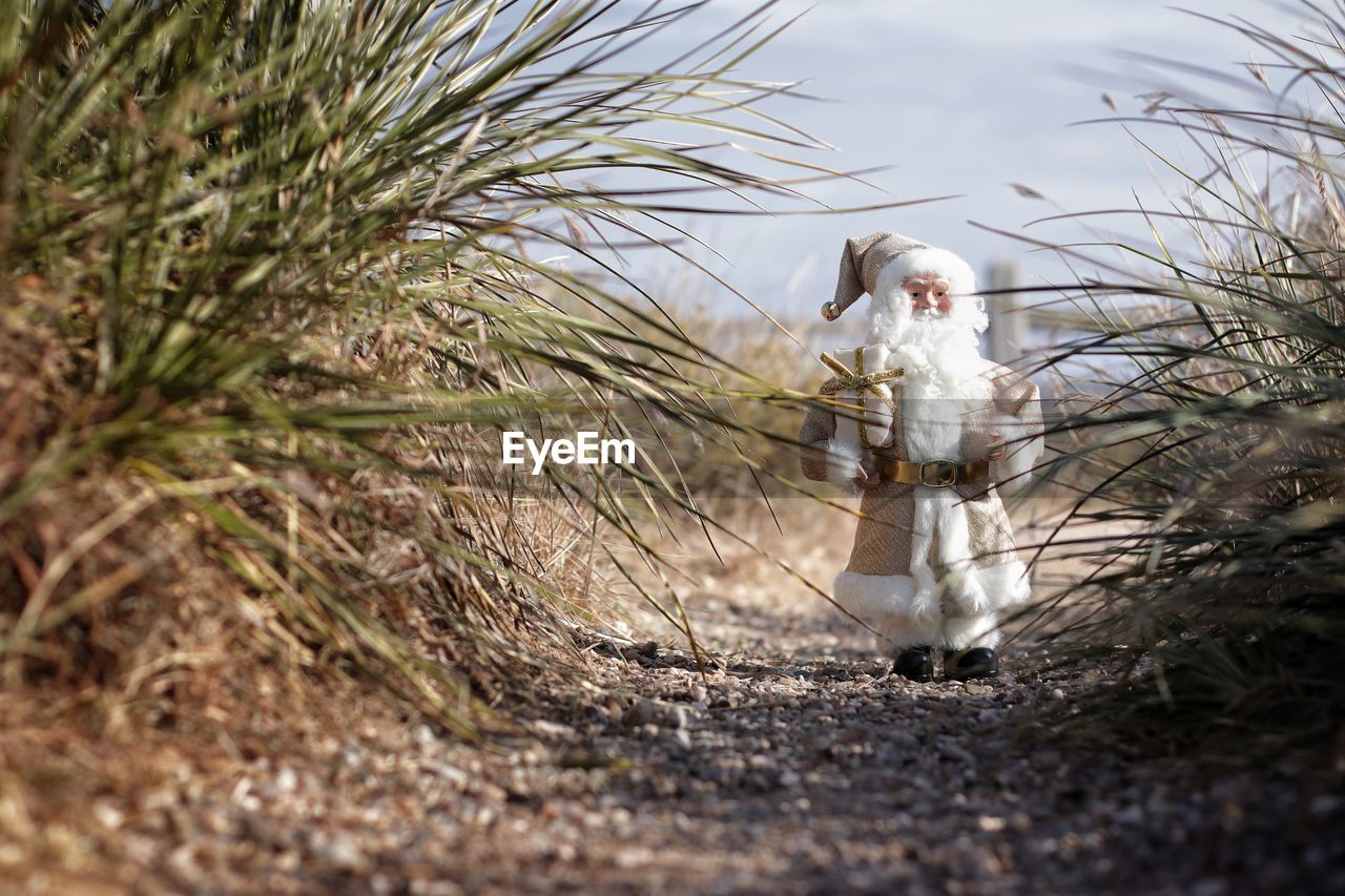 Santa walking amidst plants on land