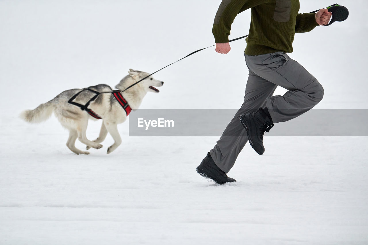 LOW SECTION OF PERSON WITH DOG DURING WINTER