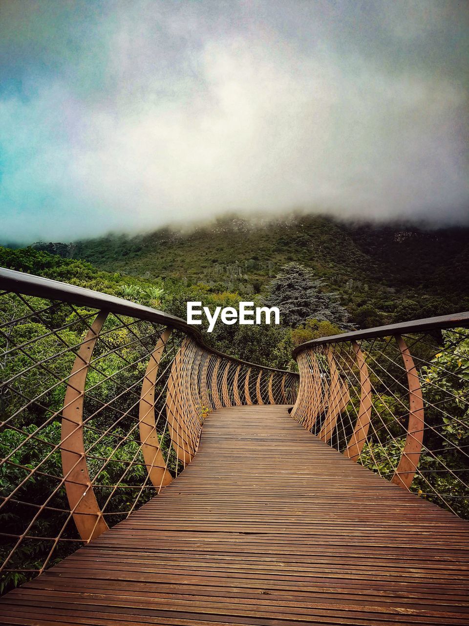 EMPTY FOOTBRIDGE ALONG TREES