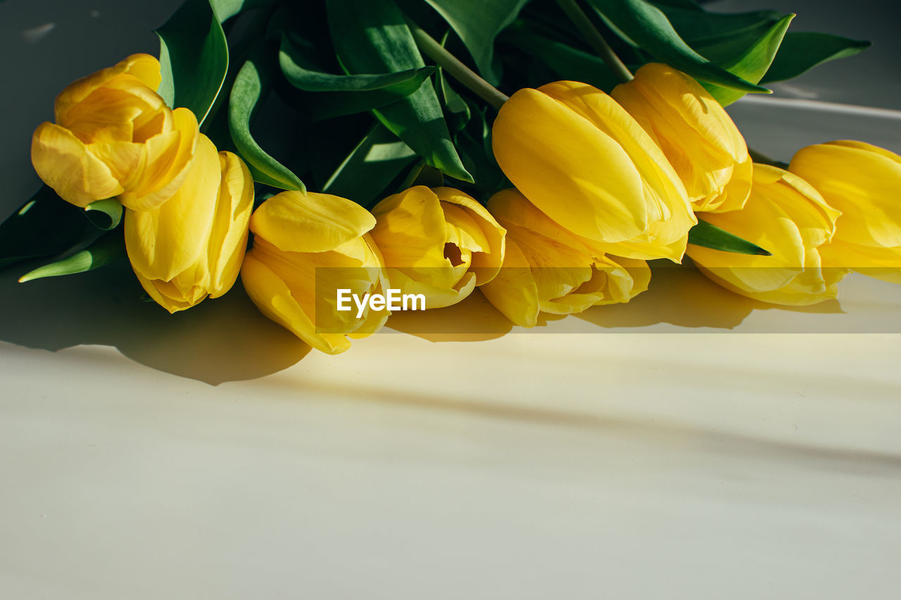 yellow, flower, flowering plant, bouquet, plant, freshness, beauty in nature, petal, nature, flower head, inflorescence, cut flowers, floristry, no people, close-up, indoors, fragility, macro photography, flower arrangement, green, floral design, studio shot, plant part, bunch of flowers, leaf, tulip